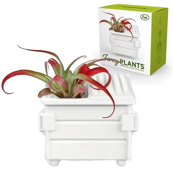 Fred Fancy Plants Dumpster Shaped Air Plant Holder - Unique Ceramic Planter for Tillandsia & Small Air Plants - Decorative Indoor Display for Office Desk, Bookshelf, Coffee Table