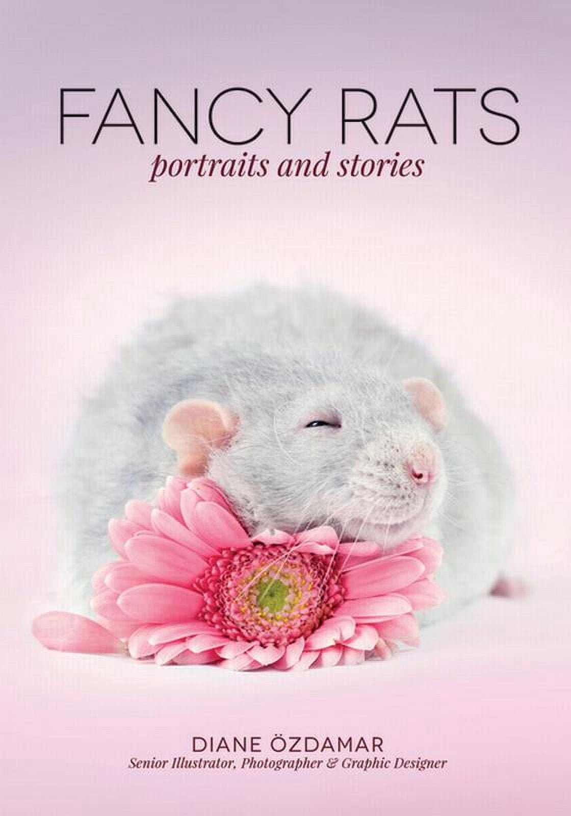 Fancy Rats Portrait Fancy Rats: Portraits and Stories (Paperback) - Walmart Business Supplies