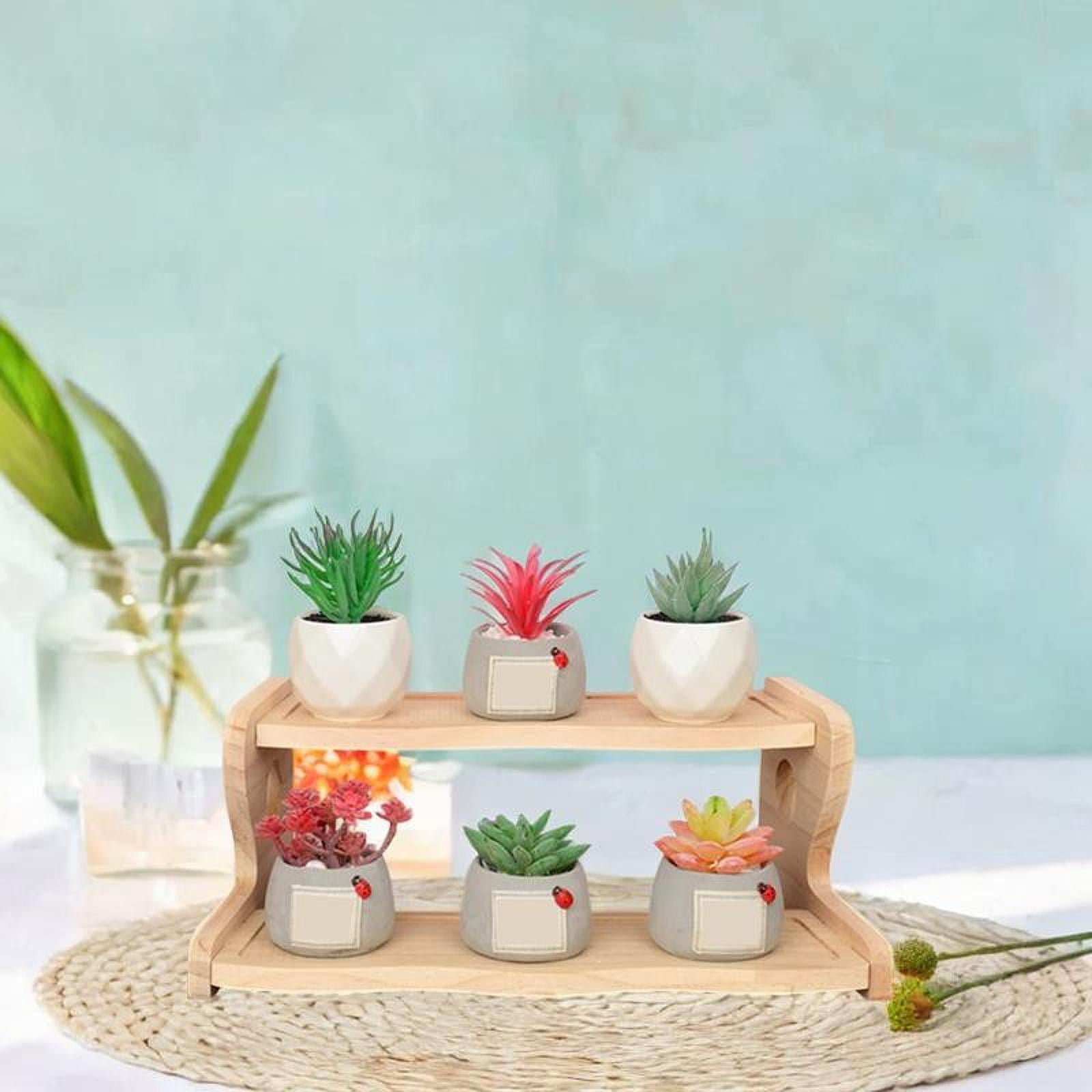 Fancyes Plant Stand Display Riser Tabletop Small Tabletop Wooden 2 ...
