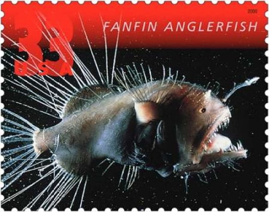 Fanfin Anglerfish Canvas Art - US POSTAL SERVICE (24 x 30)