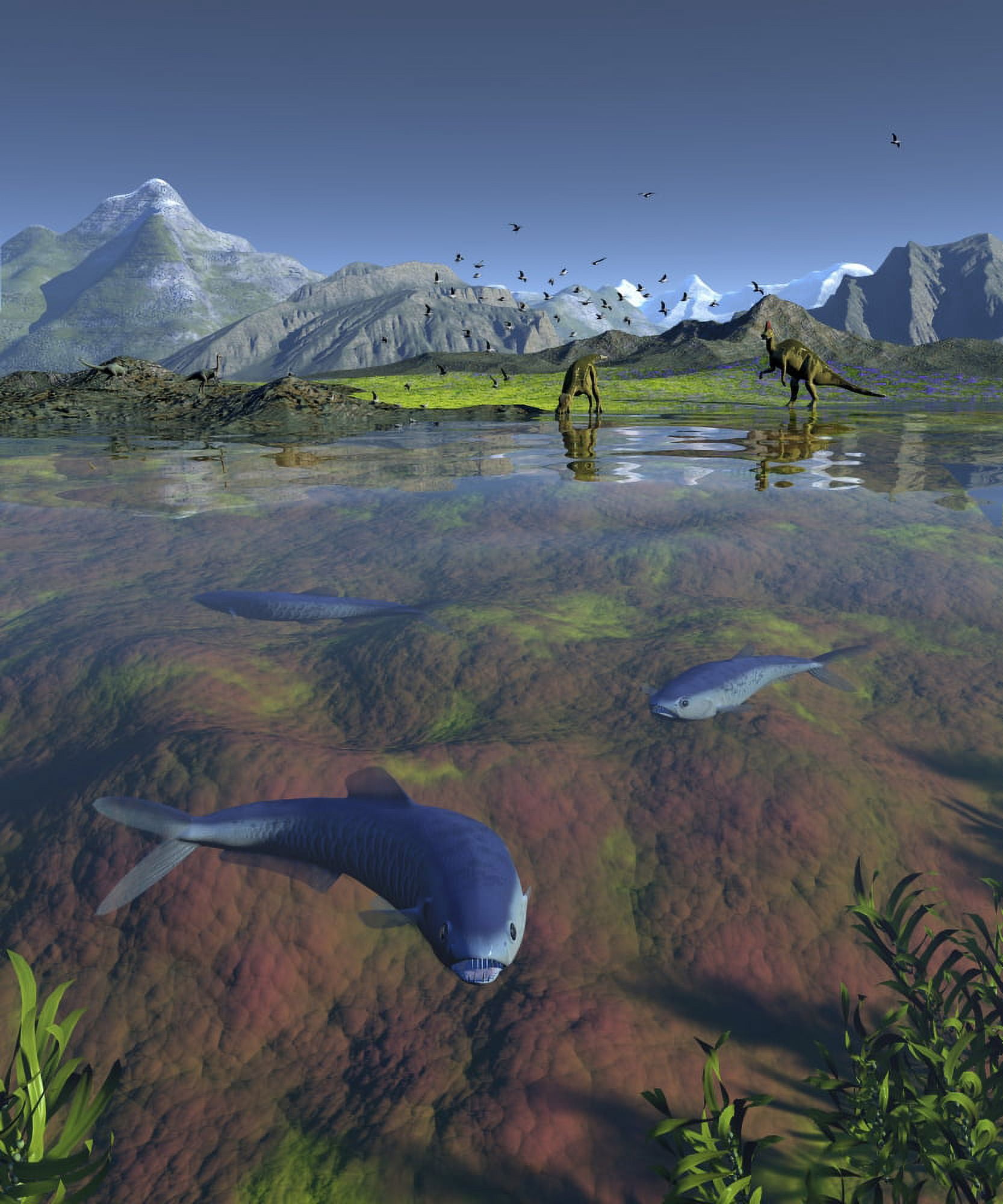 Fanged Enchodus predatory fish from the late Cretaceous period Canvas Art - Walter MyersStocktrek Images (26 x 31)