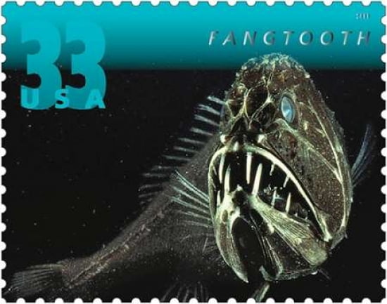 Fangtooth Canvas Art - US POSTAL SERVICE (24 x 30)