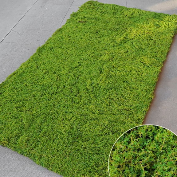 Fankenuo Plant Wall Simulation Moss Green Moss Landscape Bonsai Landscaping Lawn Turf