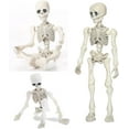 thumbnail image 1 of Fankiway Halloween Movable Skeleton Human Model Skull Full Body Mini Figure Toy , Decorations Skull Full Body Realistic Faux Human Skeleton Skull Decor, 1 of 8