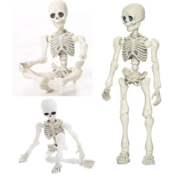 Fankiway Halloween Movable Skeleton Human Model Skull Full Body Mini Figure Toy , Decorations Skull Full Body Realistic Faux Human Skeleton Skull Decor