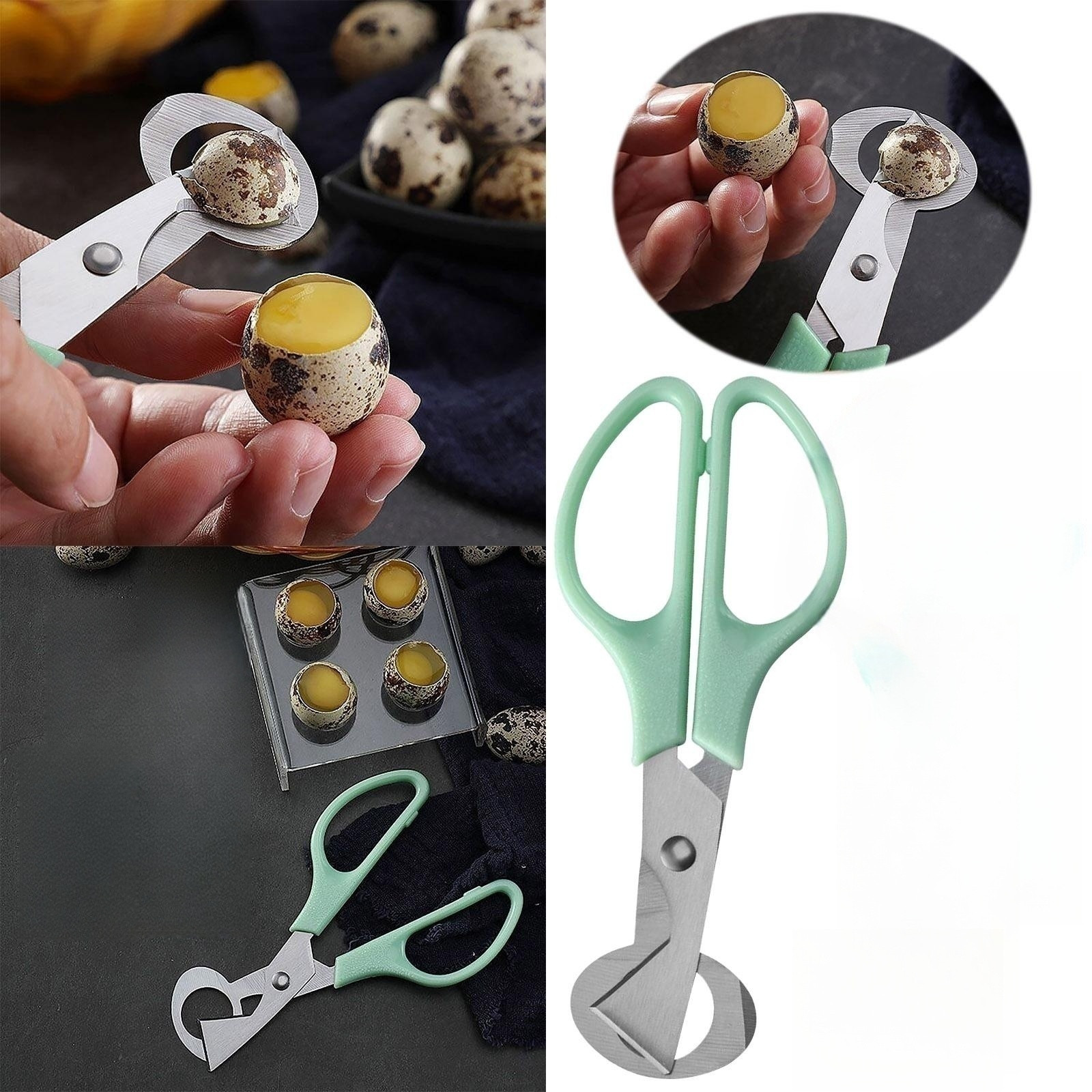 Fankiway Quail Scissors Stainless Steel Scissors Opening Cutter Bird