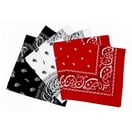 Aislor 3 pieces Men Western Cowboy Hat Cow Printed Flannel Waistcoat and Print Bandanna Red&Coffee XXL
