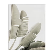 Stupell Industries Fanning Banana Leaves Canvas Wall Art, design by Sisi and Seb