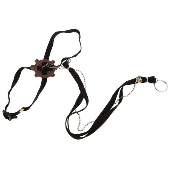 Fanoery 1.2M Adjustable Lizard Leash Pet Traction Strap Reptile Harness for Amphibians