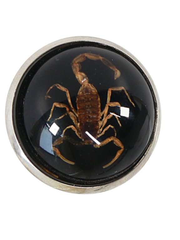 Trendy Scorpion Rings Versatile and Fashionable Opening Rings for Daily Parties