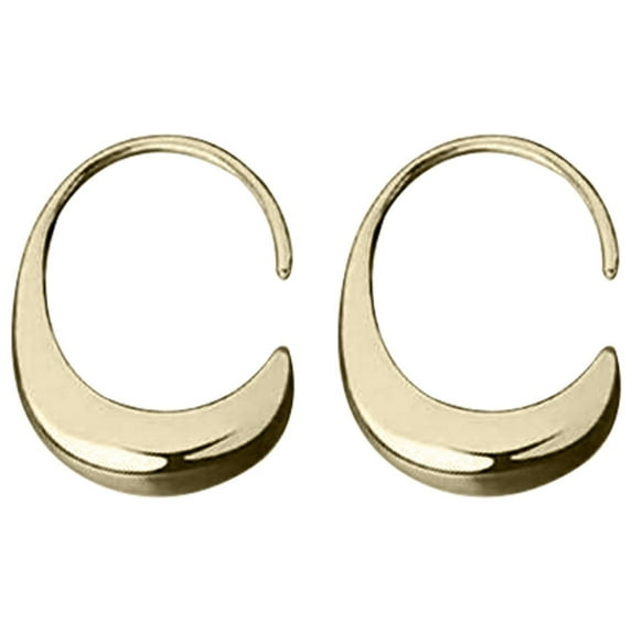 Fanshiluo Earings Clearance Earrings For Women Jewelry Earrings Plated Sterling Rings Thick 14K Gold Teardrop Trendy Drop Dangle Women's Earrings