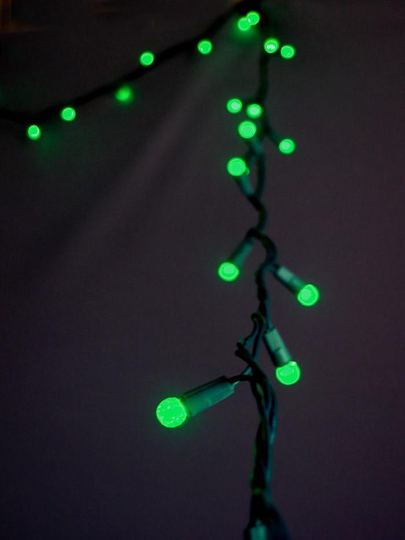 Fantado 70 Outdoor Green LED G12 Raspberry String Lights, 23.6 FT Green