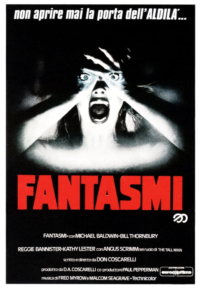 Fantasam Canvas Art - (24 x 36)