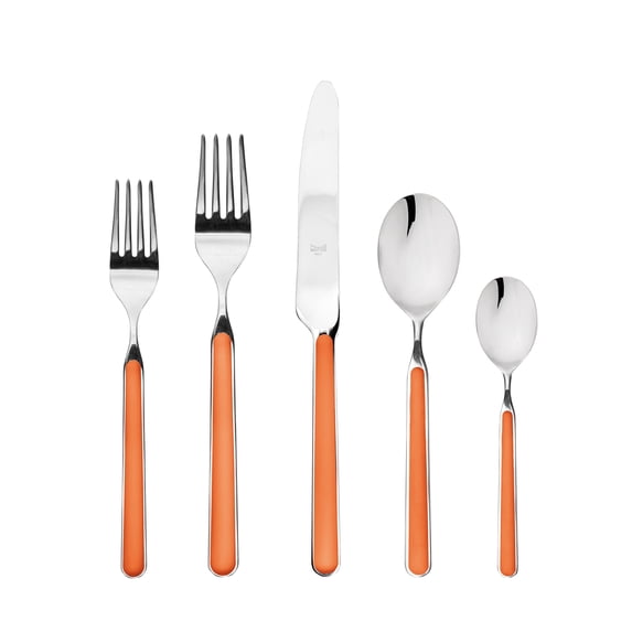 PLACE SET 5 PCS FANTASIA CARROT