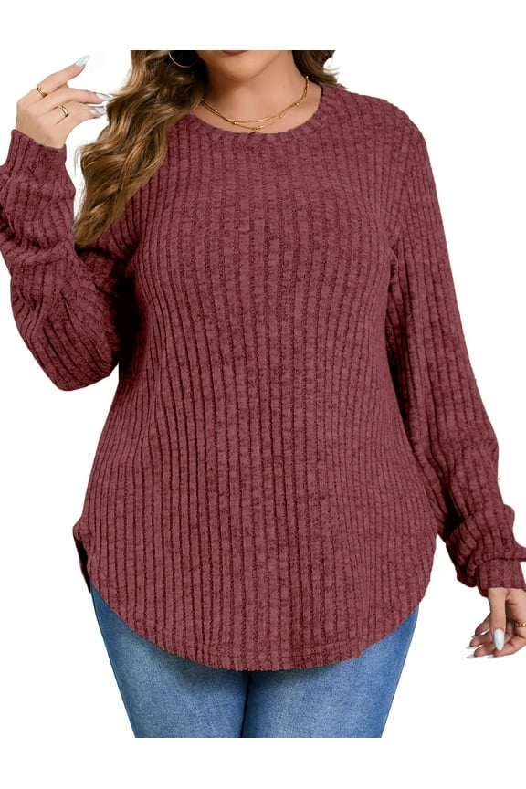 Womens Plus Size Tops Crewneck Long Sleeve Shirts Loose Tunic Tops Curved Hem Fall Pullover