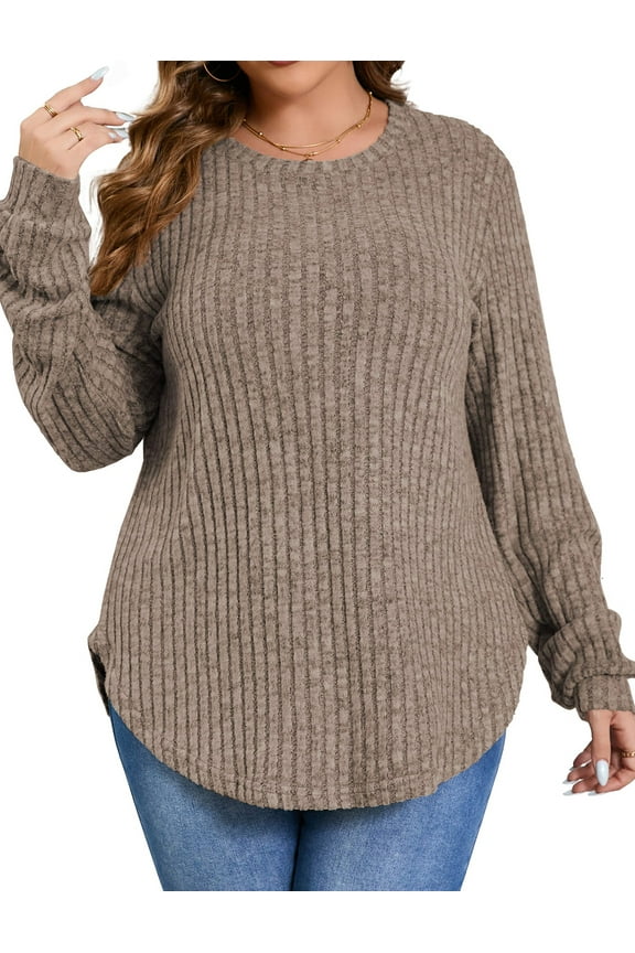 Womens Plus Size Tops Crewneck Long Sleeve Shirts Loose Tunic Tops Curved Hem Fall Pullover