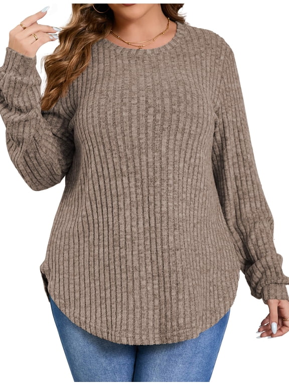 Womens Plus Size Tops Crewneck Long Sleeve Shirts Loose Tunic Tops Curved Hem Fall Pullover