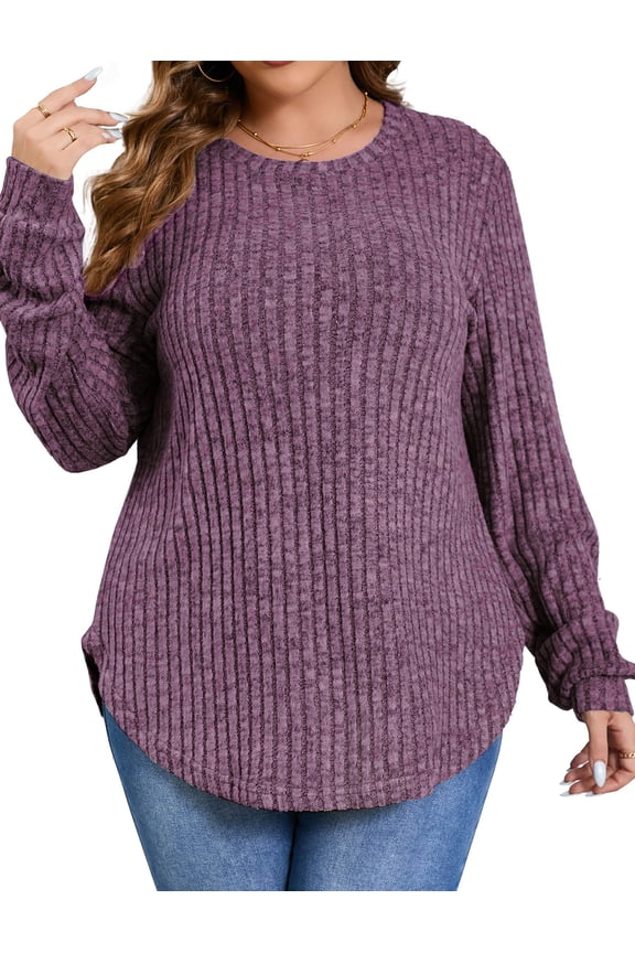 Womens Plus Size Tops Crewneck Long Sleeve Shirts Loose Tunic Tops Curved Hem Fall Pullover
