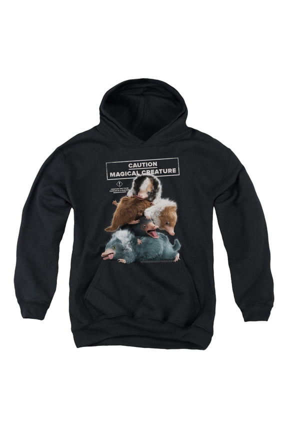 Fantastic Beasts 2 - Cuddle Puddle - Youth Hooded Sweatshirt - Large