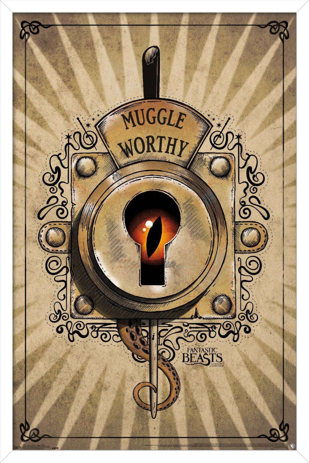 Fantastic Beasts And Where To Find Them - Muggle Worthy Wall Poster, 14.725" x 22.375", Framed