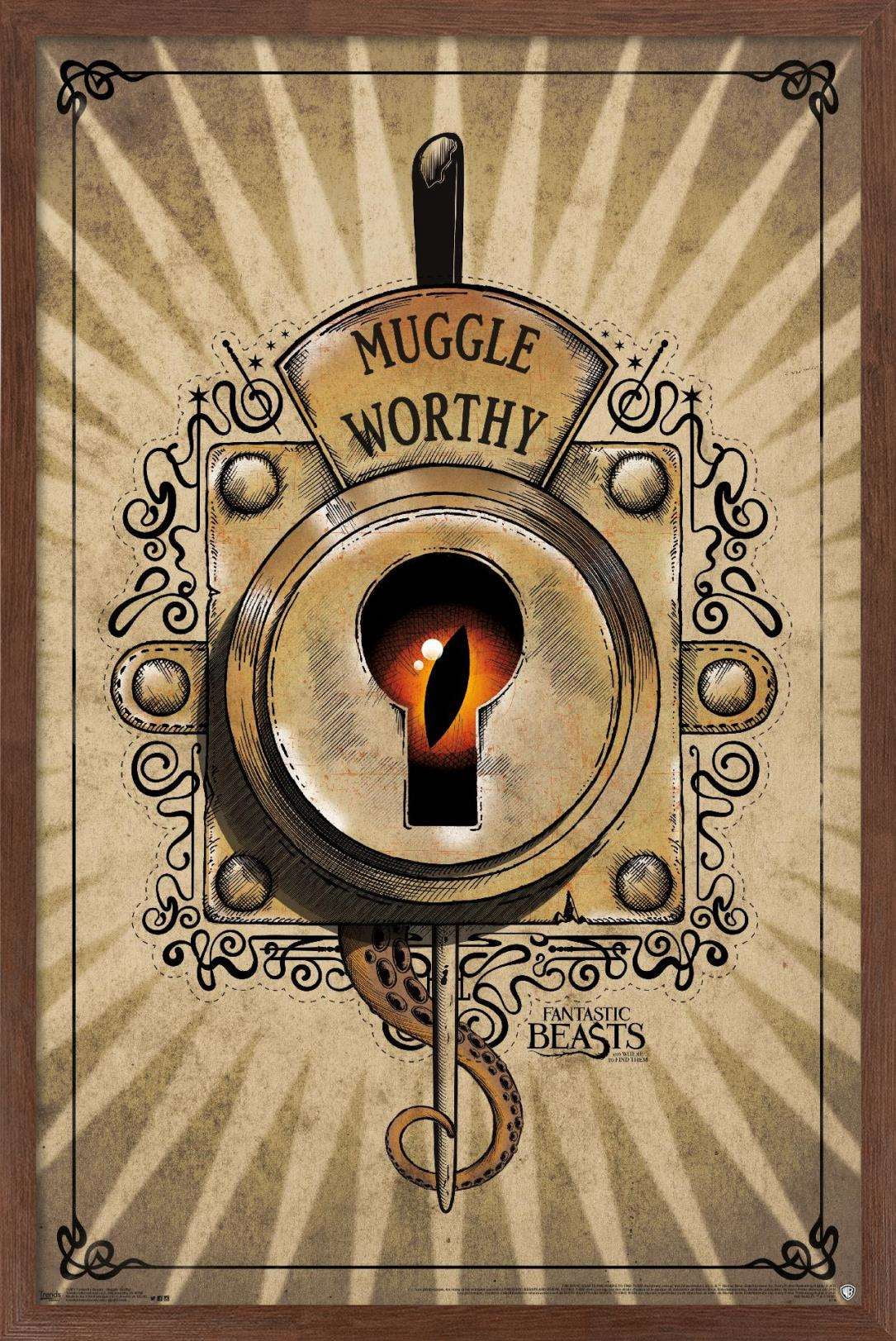 Fantastic Beasts And Where To Find Them - Muggle Worthy Wall Poster, 14.725" x 22.375", Framed