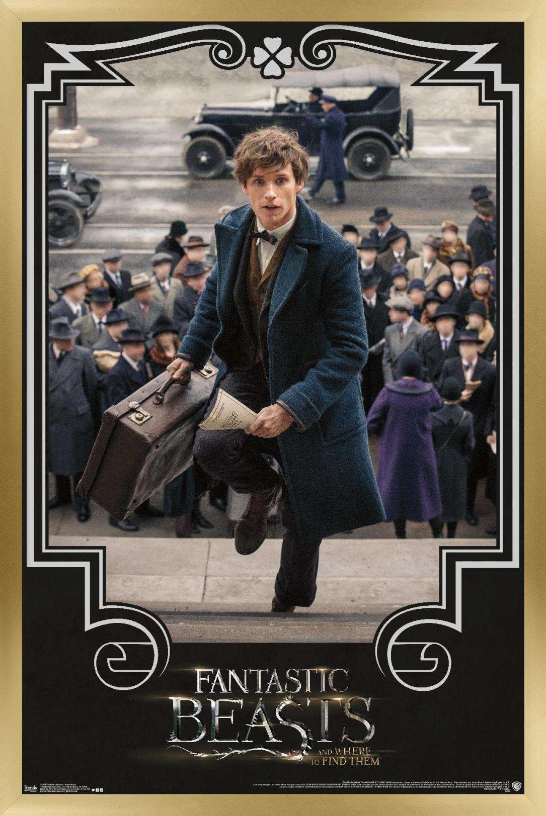 Fantastic Beasts And Where To Find Them - Newt Steps Wall Poster, 14.725" x 22.375", Framed