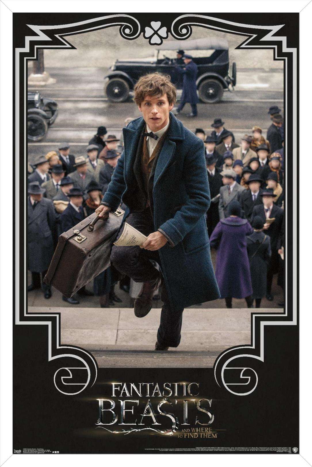 Fantastic Beasts And Where To Find Them - Newt Steps Wall Poster, 14.725" x 22.375", Framed