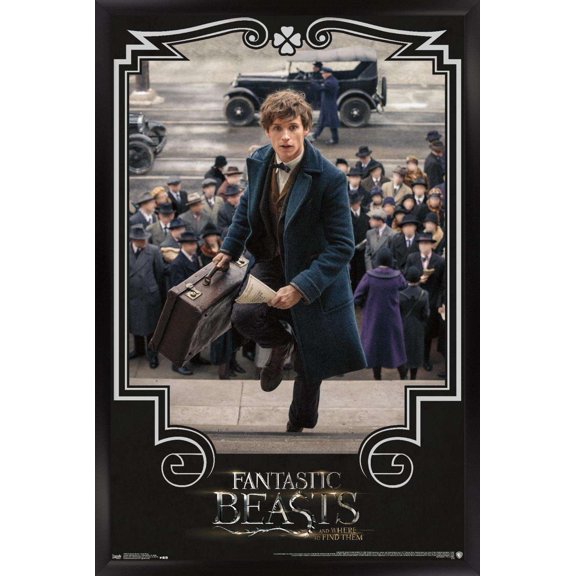 Fantastic Beasts And Where To Find Them - Newt Steps Wall Poster, 14.725" x 22.375", Framed