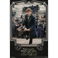thumbnail image 1 of Fantastic Beasts And Where To Find Them - Newt Steps Wall Poster, 22.375" x 34", 1 of 2