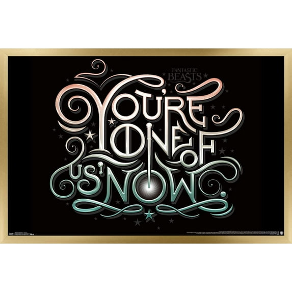 Fantastic Beasts And Where To Find Them - One Of Us Wall Poster, 22.375" x 34", Framed