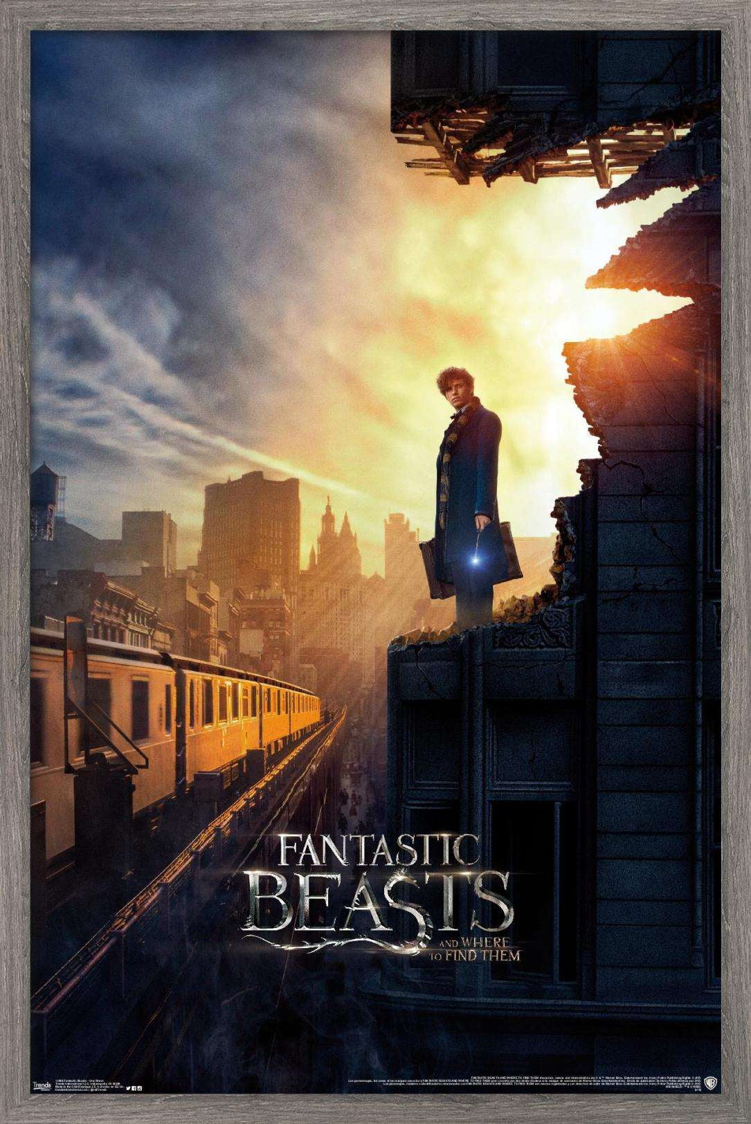 Fantastic Beasts And Where To Find Them - One Sheet Wall Poster, 22.375" x 34", Framed