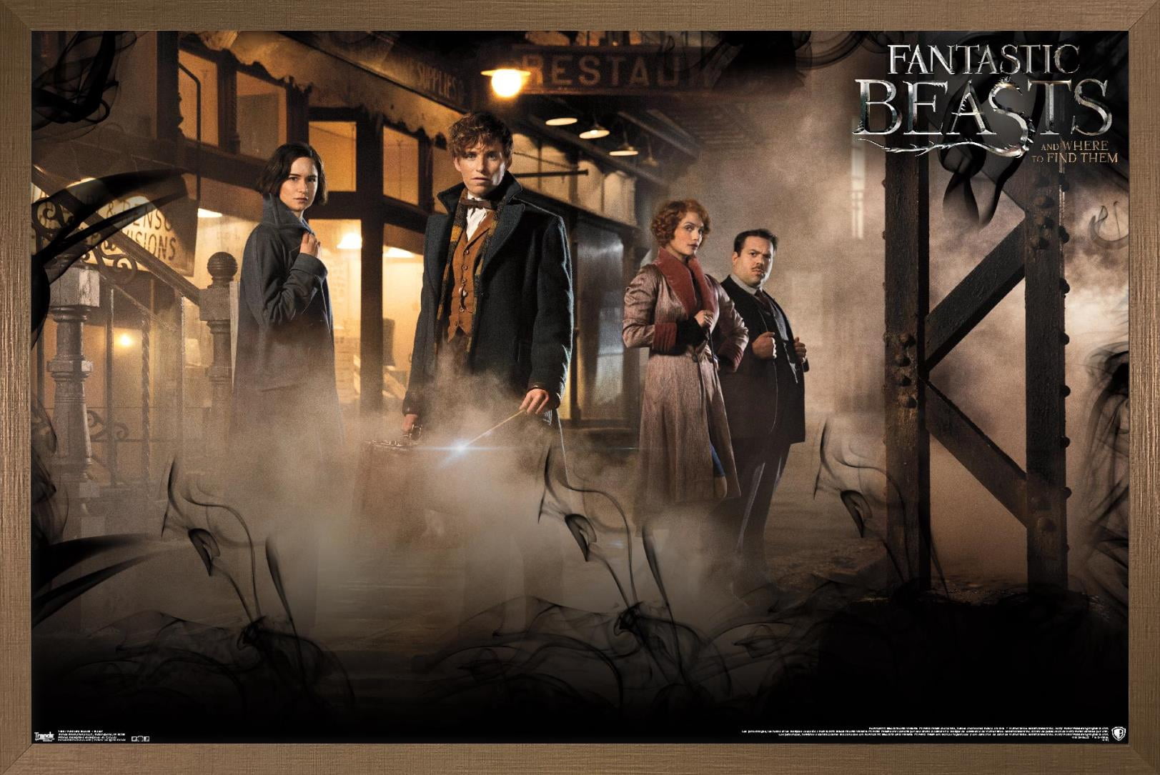 Fantastic Beasts And Where To Find Them - Teaser One Sheet Wall Poster, 22.375" x 34", Framed