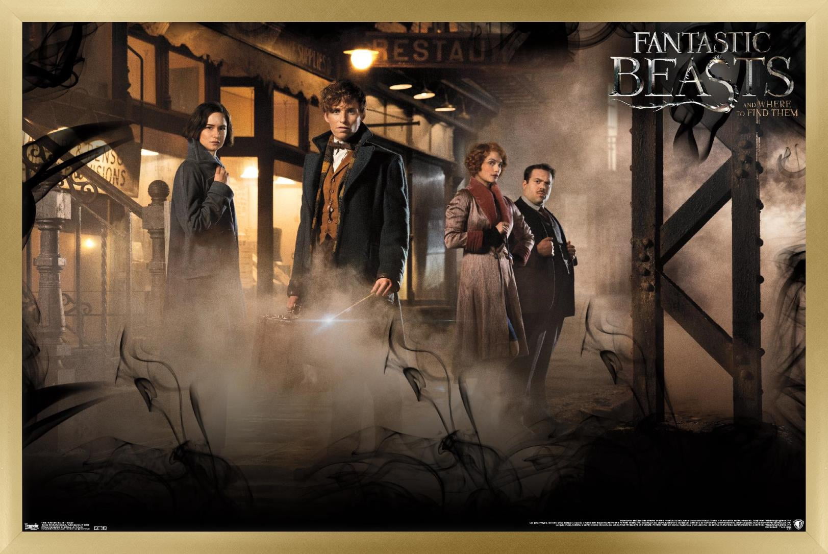 Fantastic Beasts And Where To Find Them - Teaser One Sheet Wall Poster, 22.375" x 34", Framed