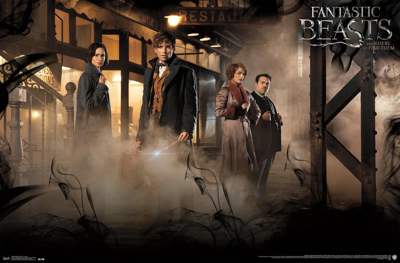 Fantastic Beasts And Where To Find Them - Teaser One Sheet Wall Poster, 22.375" x 34"