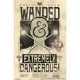 thumbnail image 1 of Fantastic Beasts And Where To Find Them - Wanded - Extremely Dangerous Wall Poster, 22.375" x 34", 1 of 2