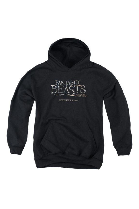 Sportswear WB208B-YFTH-3 Fantastic Beasts Logo Youth Hooded Sweatshirt, Black - Large