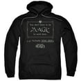 thumbnail image 1 of Trevco Sportswear WB227-AFTH-5 Fantastic Beasts Magic To Work Here Adult Pullover Hoodie, Black - 2X, 1 of 2