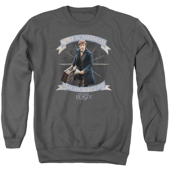 Trevco Sportswear WB210-AS-3 Fantastic Beasts T Scamander Adult Crewneck Sweatshirt, Charcoal - Large