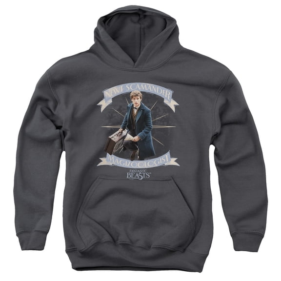 Trevco Sportswear WB210-YFTH-4 Fantastic Beasts T Scamander Youth Hooded Sweatshirt, Charcoal - Extra Large