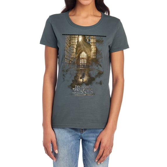 Fantastic Beasts Poster Women's T Shirt, Charcoal, Large