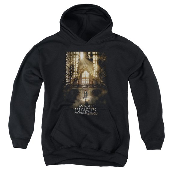 Trevco Sportswear WB243-YFTH-2 Fantastic Beasts Poster Youth Hooded Sweatshirt, Black - Medium