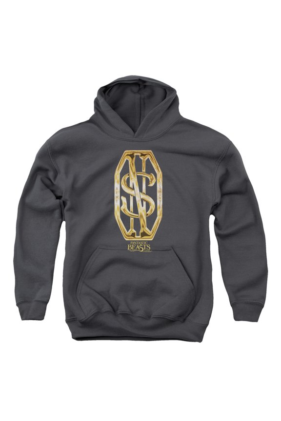 Sportswear WB242-YFTH-2 Fantastic Beasts Scamander Monogram Youth Hooded Sweatshirt, Charcoal - Medium