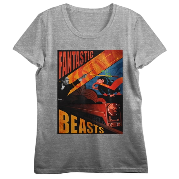 Fantastic Beasts Secrets Of Dumbledore Poster Art Crew Neck Short Sleeve Gray Heather Women's T-shirt-Medium