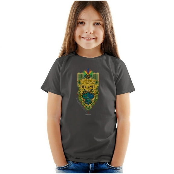 Fantastic Beasts The Secrets Of Dumbledore Brazil Ministry Flag Kids T Shirt (2) for Youth Toddler Boys and Girls, Charcoal