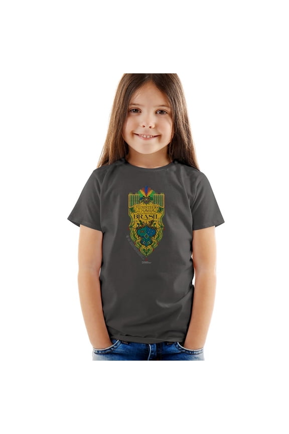 Fantastic Beasts The Secrets Of Dumbledore Brazil Ministry Flag Kids T Shirt (4) for Youth Toddler Boys and Girls, Charcoal