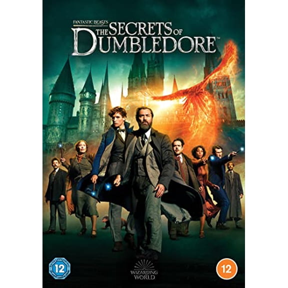 Fantastic Beasts: The Secrets Of Dumbledore [DVD]