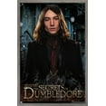 thumbnail image 1 of Fantastic Beasts: The Secrets of Dumbledore - Credence Barebone Wall Poster, 14.725" x 22.375" Framed, 1 of 6