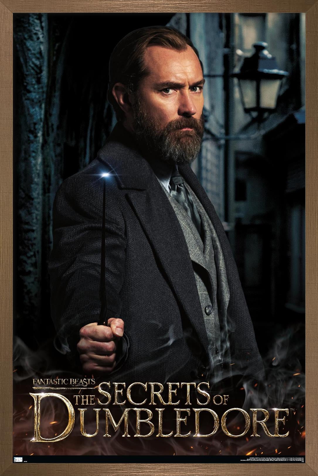 Fantastic Beasts: The Secrets of Dumbledore - Dumbledore Wall Poster, 14.725" x 22.375" Framed