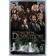 thumbnail image 1 of Fantastic Beasts: The Secrets of Dumbledore - Group Wall Poster, 14.725" x 22.375" Framed, 1 of 6