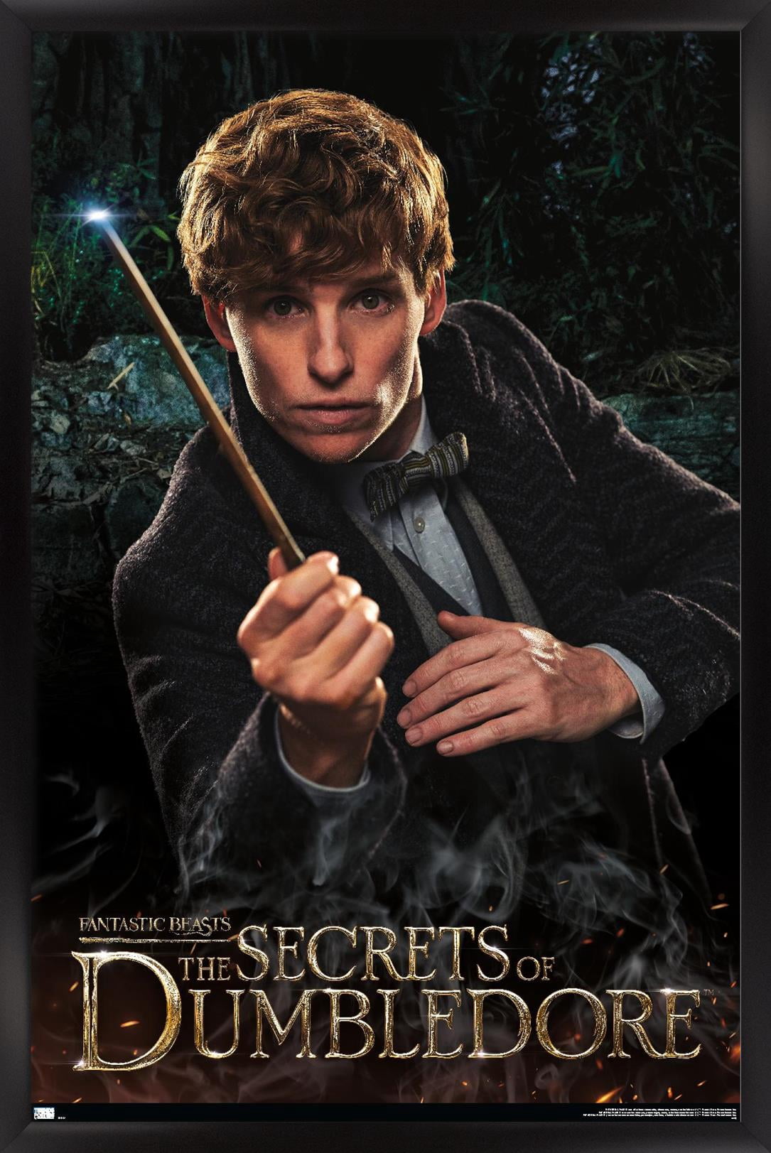 Fantastic Beasts: The Secrets of Dumbledore - Newt Wall Poster, 14.725" x 22.375" Framed